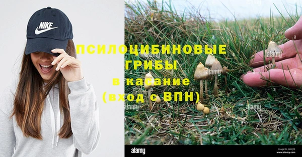 синтетический гашиш Володарск