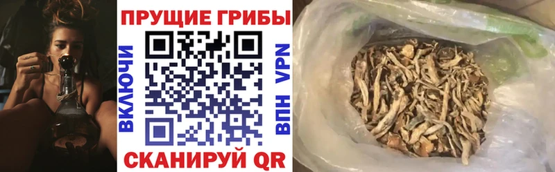 Псилоцибиновые грибы мицелий  Купить закладки  Очёр 